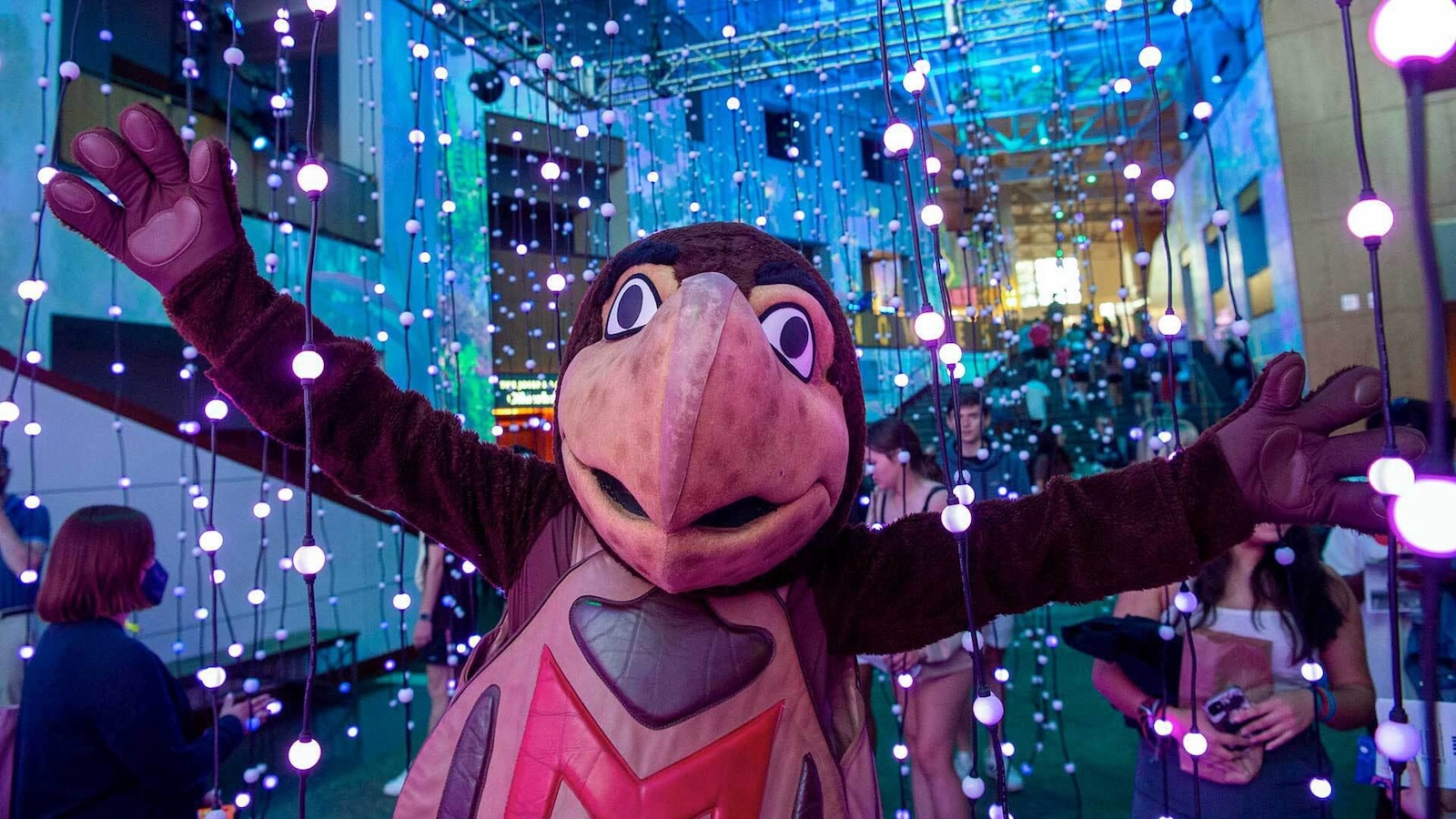 NextNOW Fest 2024: Handpicked Highlights From Curators image