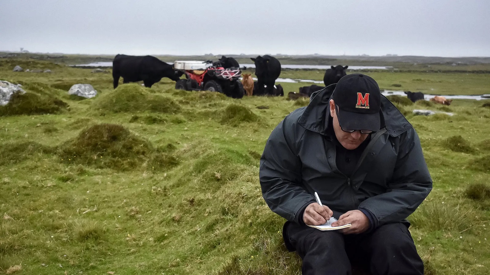 10 Faculty Receive UMD Independent Scholarship, Research and Creativity Awards image