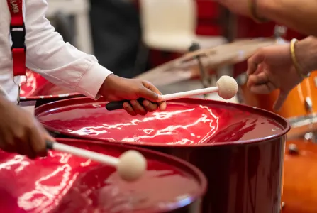 Steelpan Experience: Music, Culture, and Community