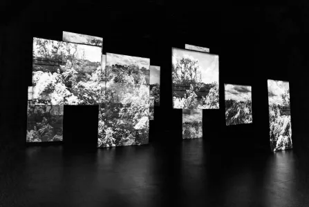 Resonant Site: Immersive Art Installation at the Pikesville Armory