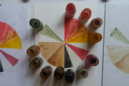 Use of Plant-Based Color as a Visual Language