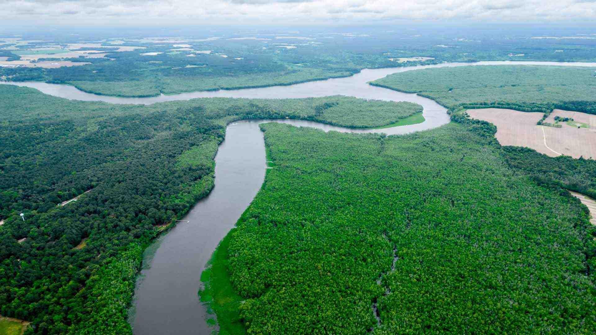 Aerial view of a forest and river twisting through it. 