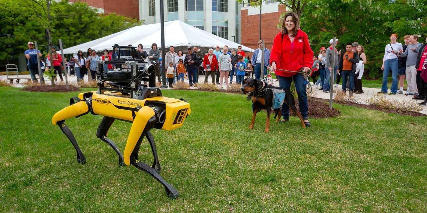 Spot the robot dog meets a real dog at Maryland Day.