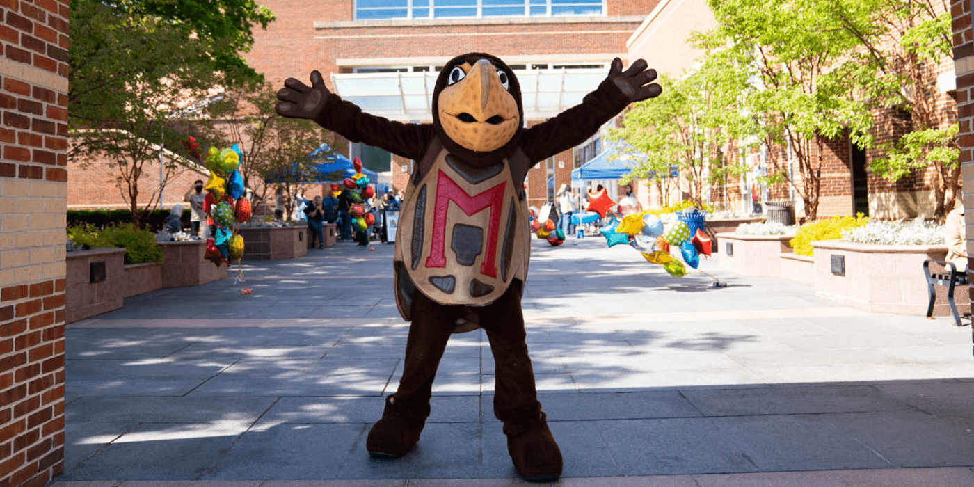 Testudo