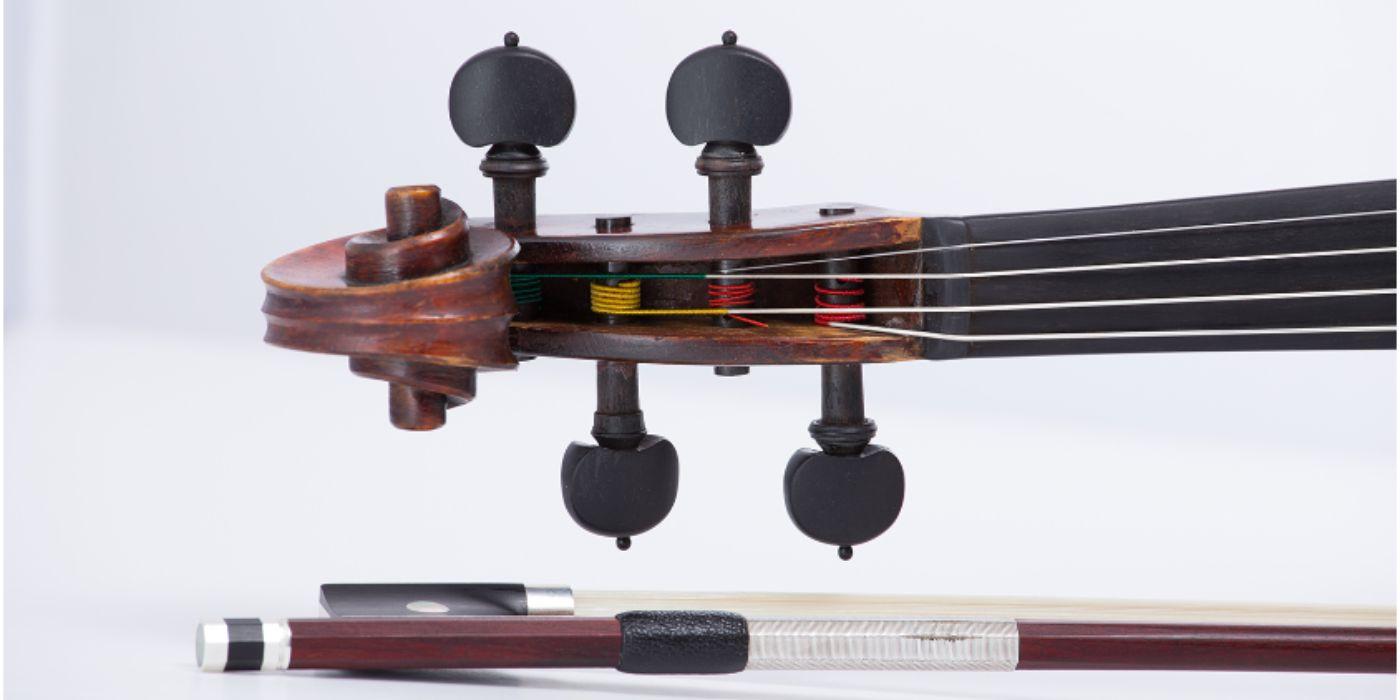 Viva Viola!