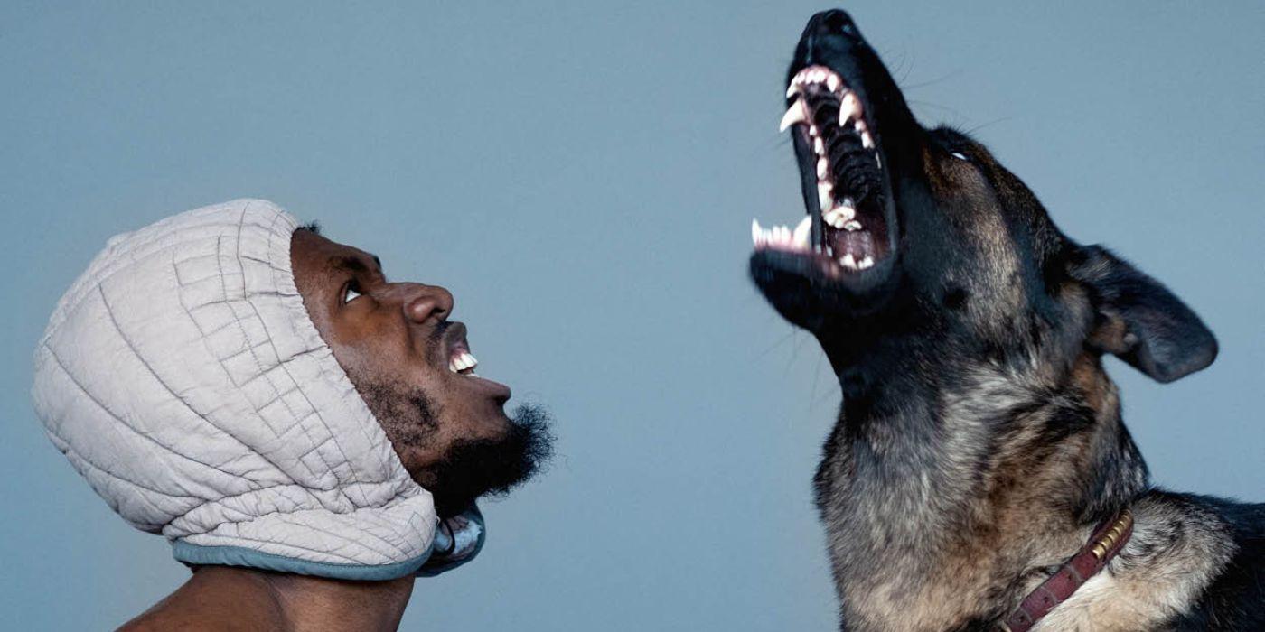 A man stares at a barking dog.